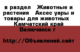  в раздел : Животные и растения » Аксесcуары и товары для животных . Камчатский край,Вилючинск г.